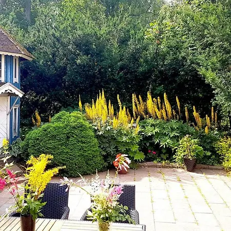 Theater And Apartment *